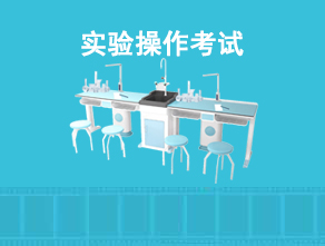 实验系统